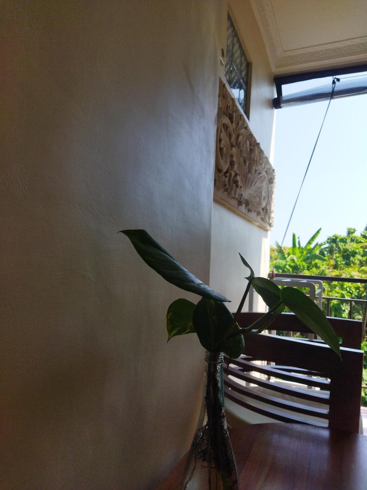 Hotel Wahwik'S House Ubud Exterior foto