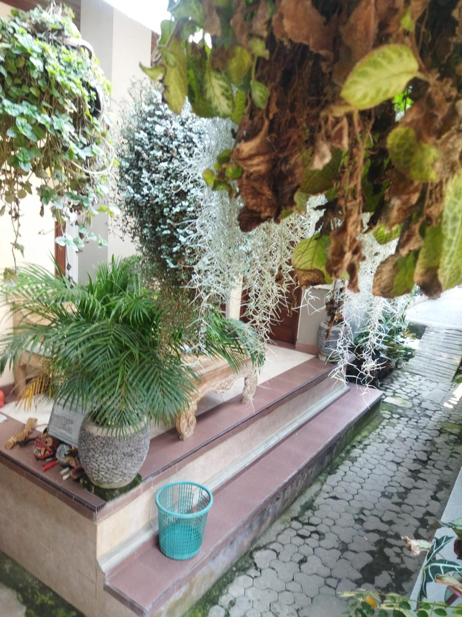 Hotel Wahwik'S House Ubud Exterior foto
